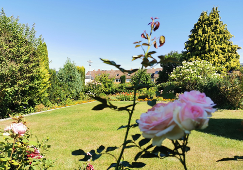Garten