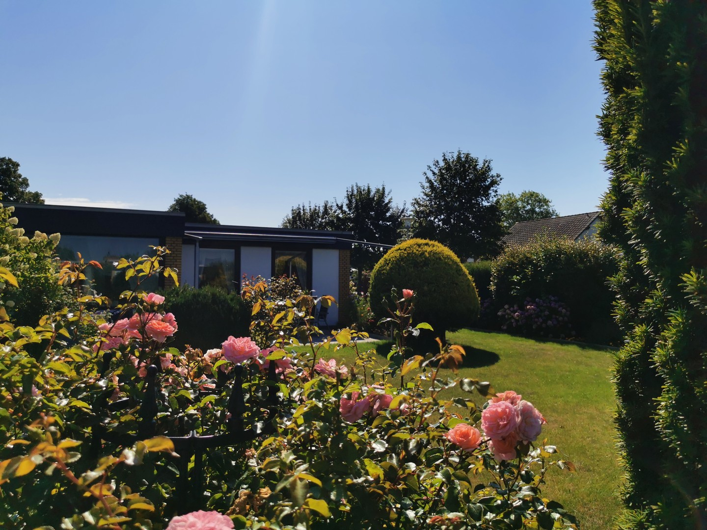 Garten
