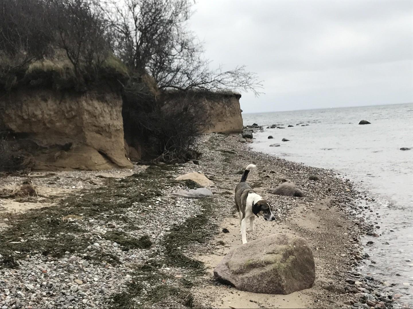 Naturnaher Südstrand