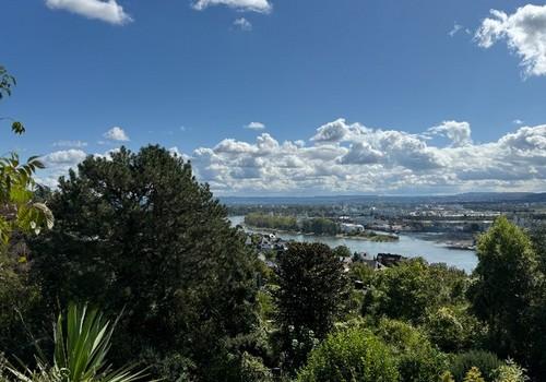 Ihr Rheinblick 1