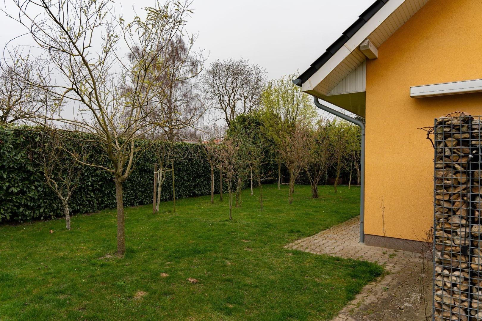 Garten hinter dem Haus