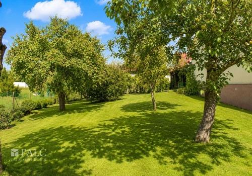 Obstgarten