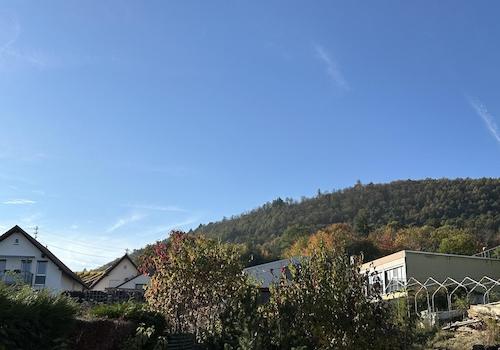 Blick Richtung Pfälzer Wald 