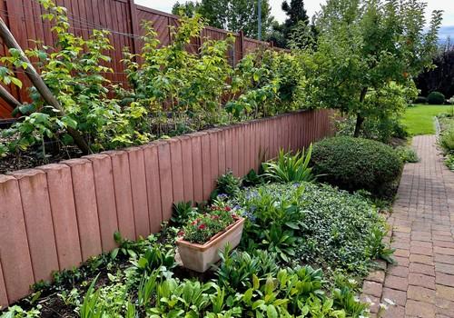 Liebevoll angelegter Garten