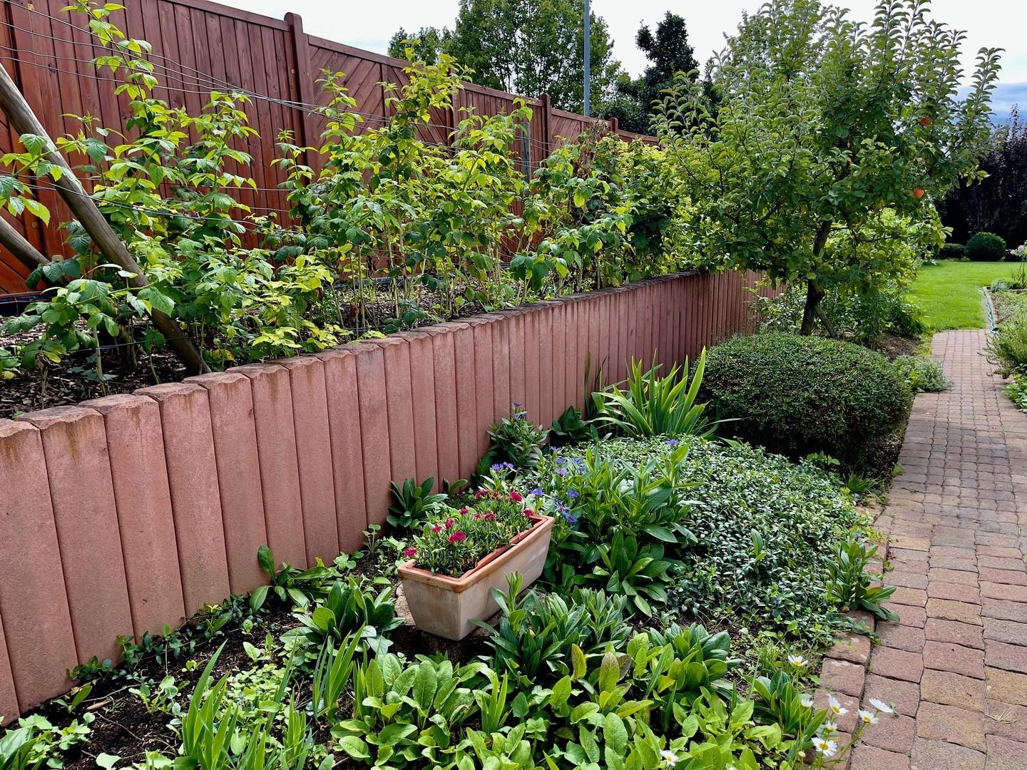 Liebevoll angelegter Garten