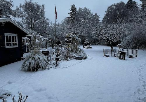 Garten Winter
