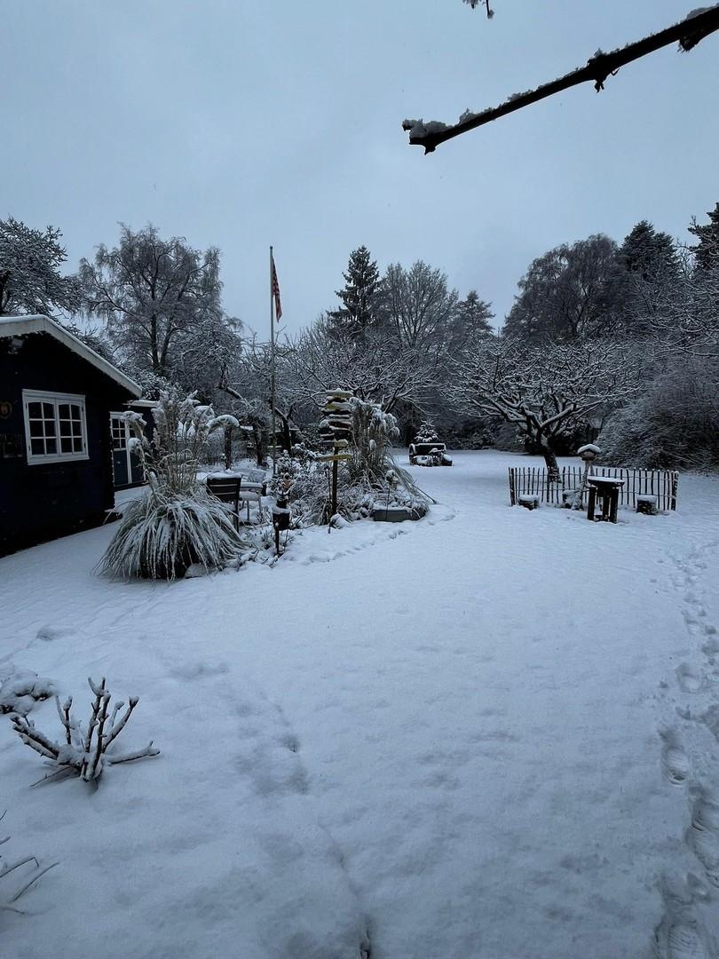 Garten Winter