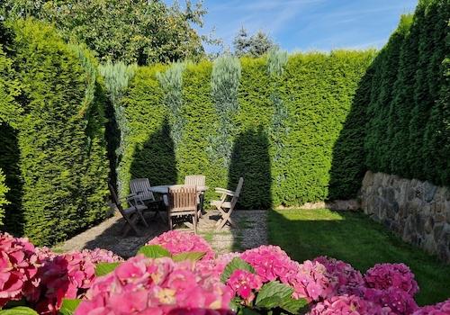 Gartenbereich