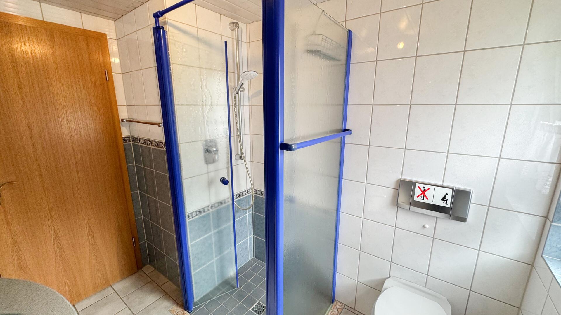 Tageslichtbad mit Dusche und WC EG 