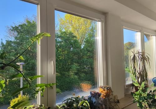 Blick in den Park