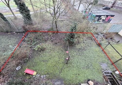 Blick in den Garten