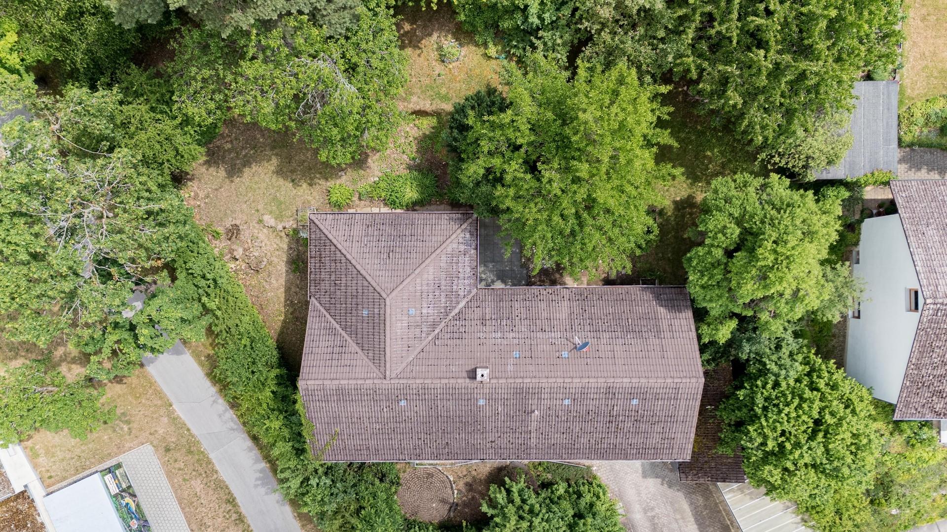 Haus im Grünen 