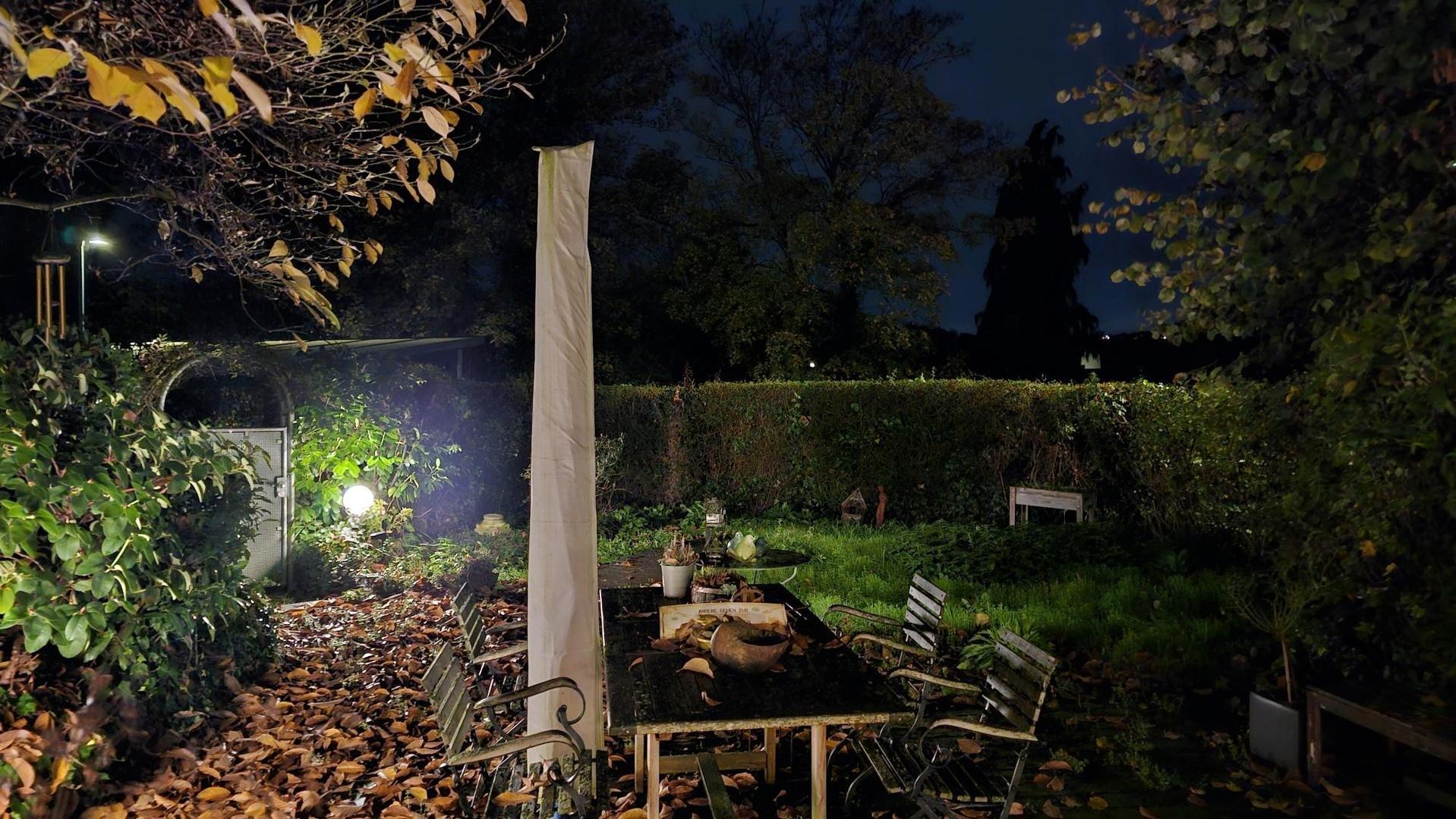 Blick zum Garten