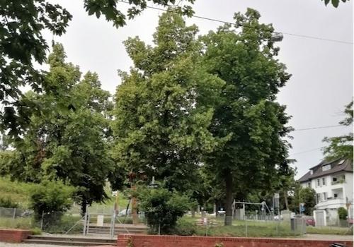 Umgebung Ansicht