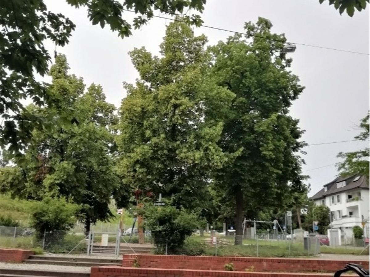 Umgebung Ansicht