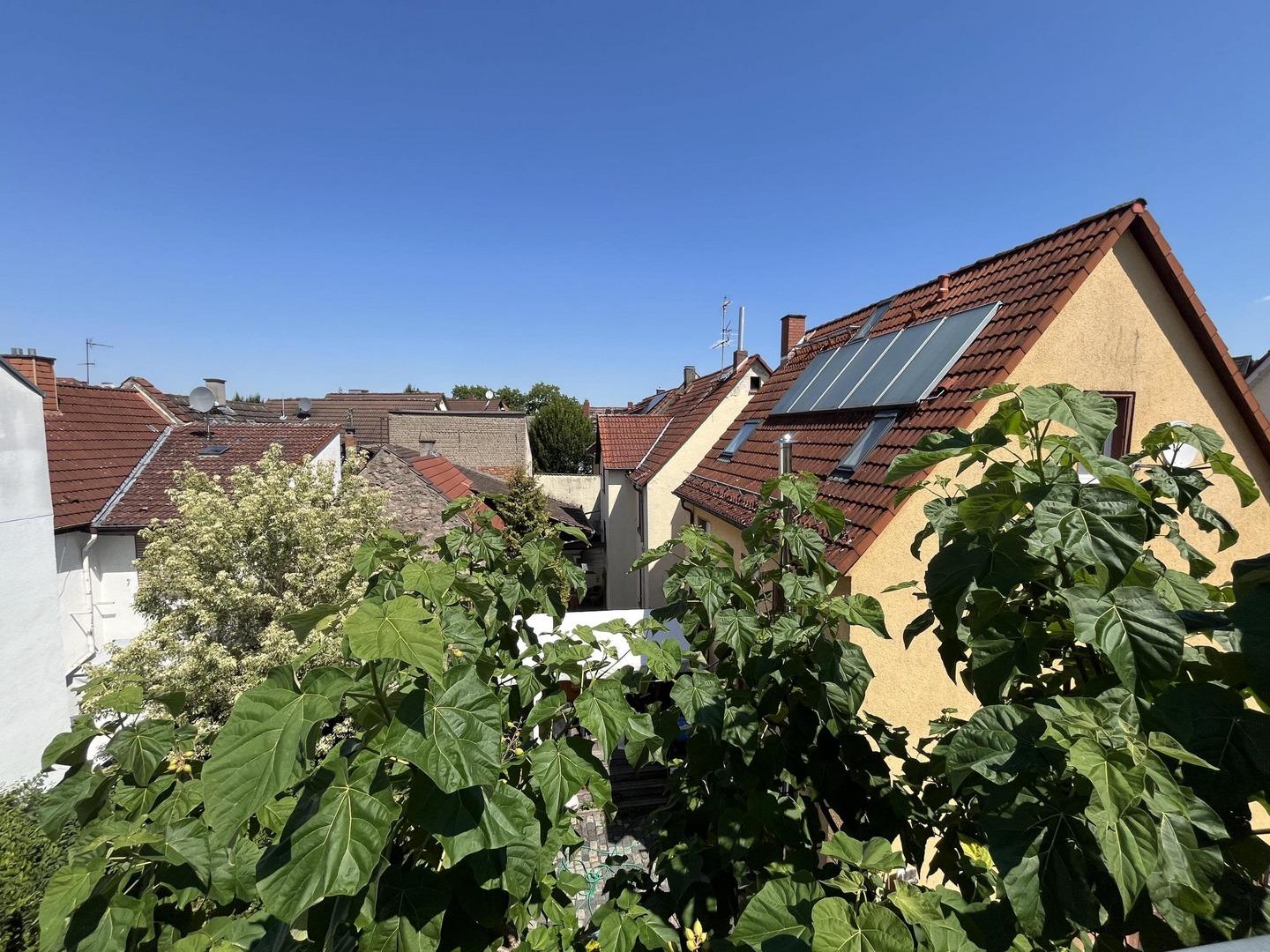 Ausblick