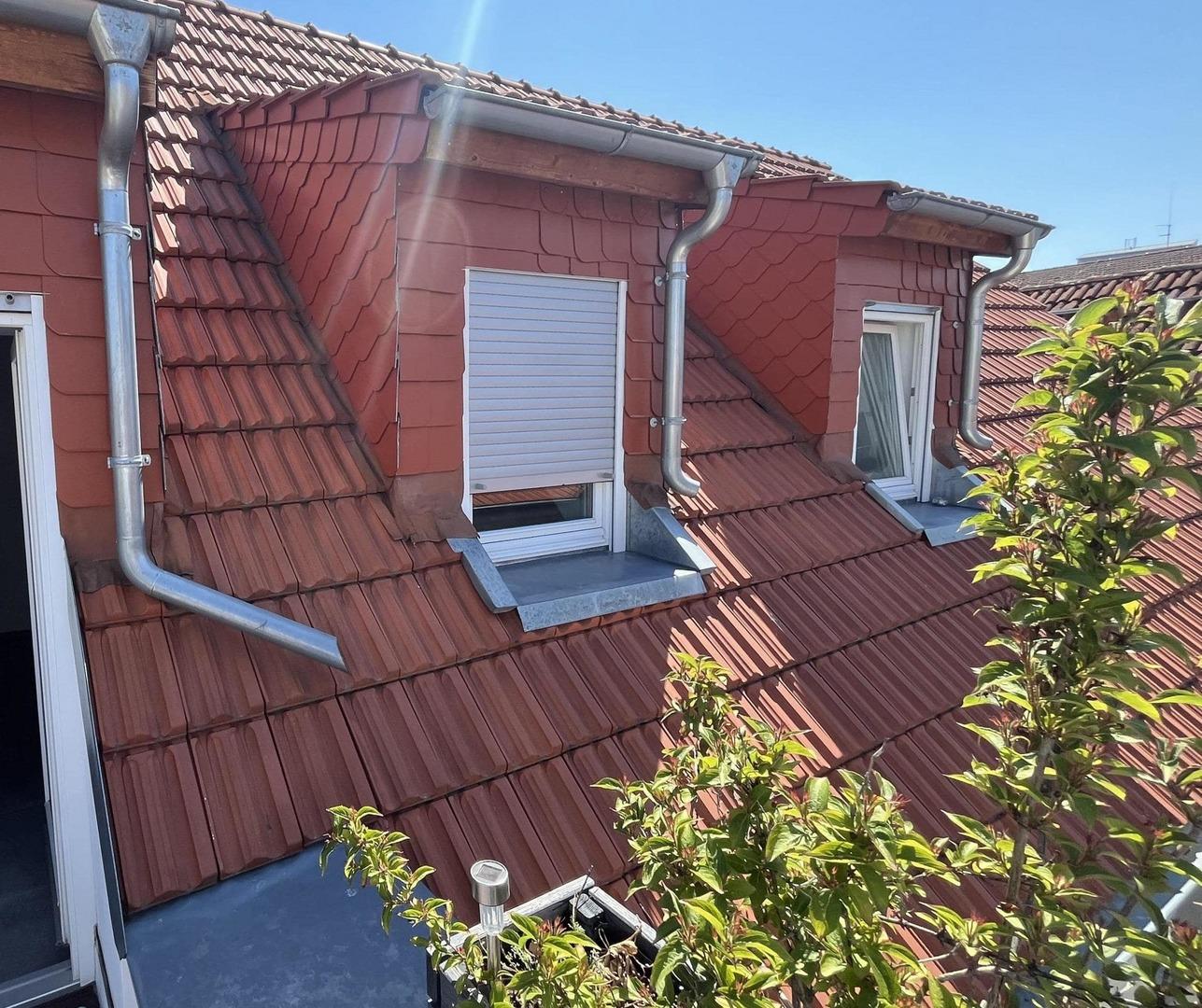 Dachgauben