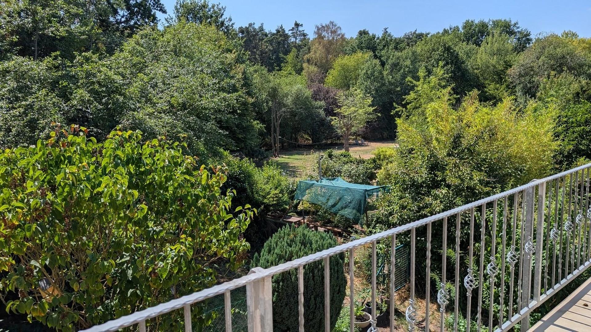 Blick vom Balkon