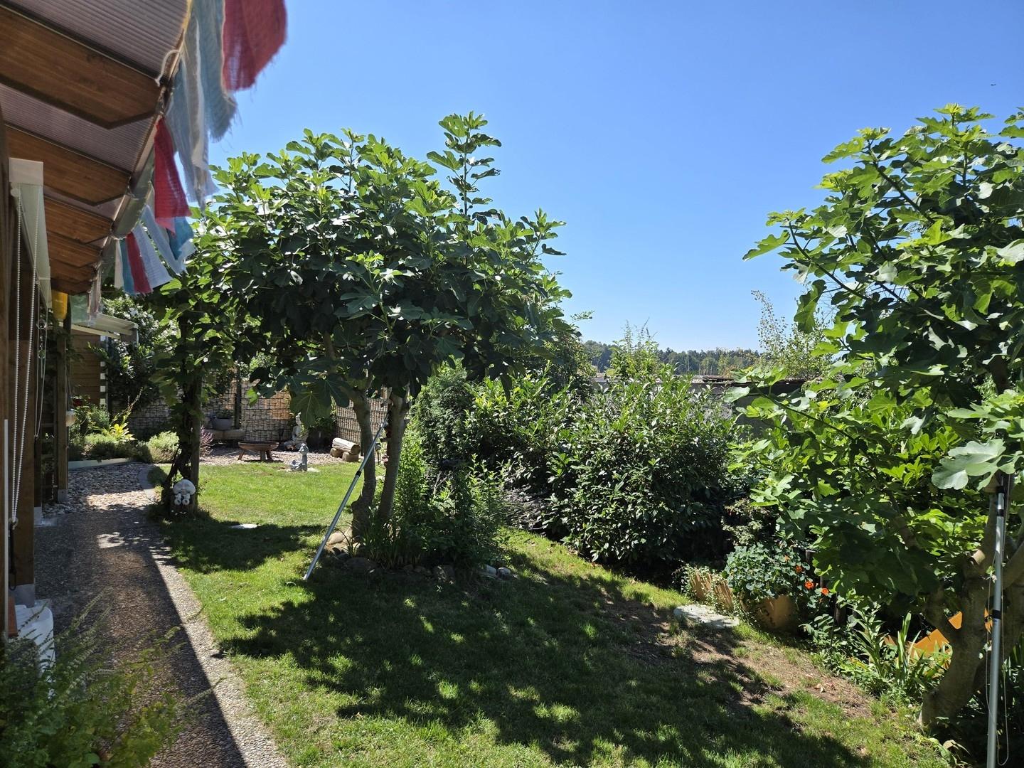 Terrasse und Garten 5