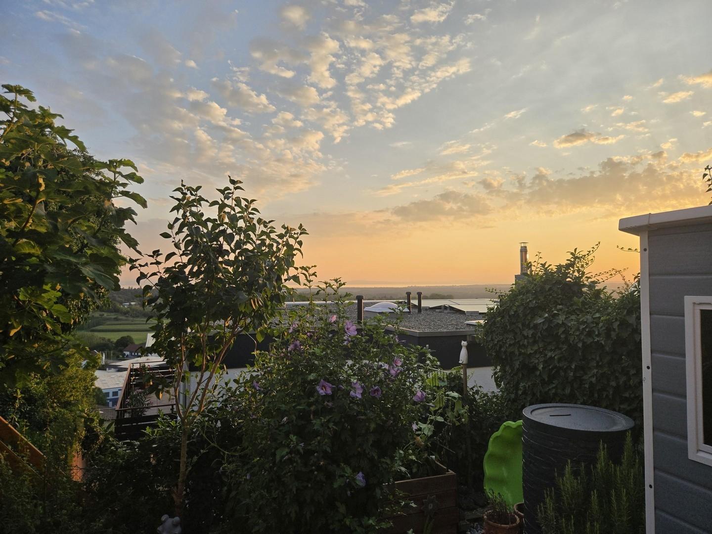 Aussicht vom Garten 