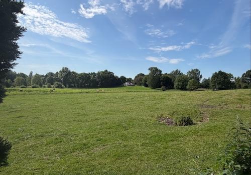 Blick über die angrenzenden Wiesen und Felder