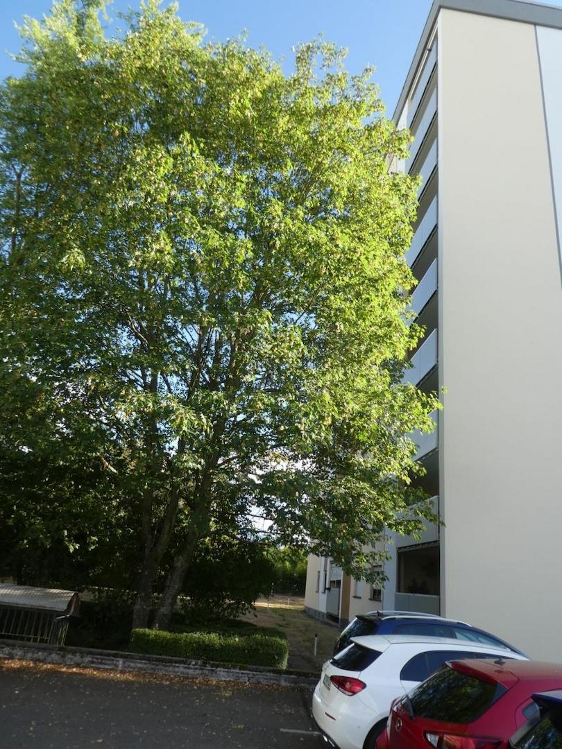 Ansicht 3