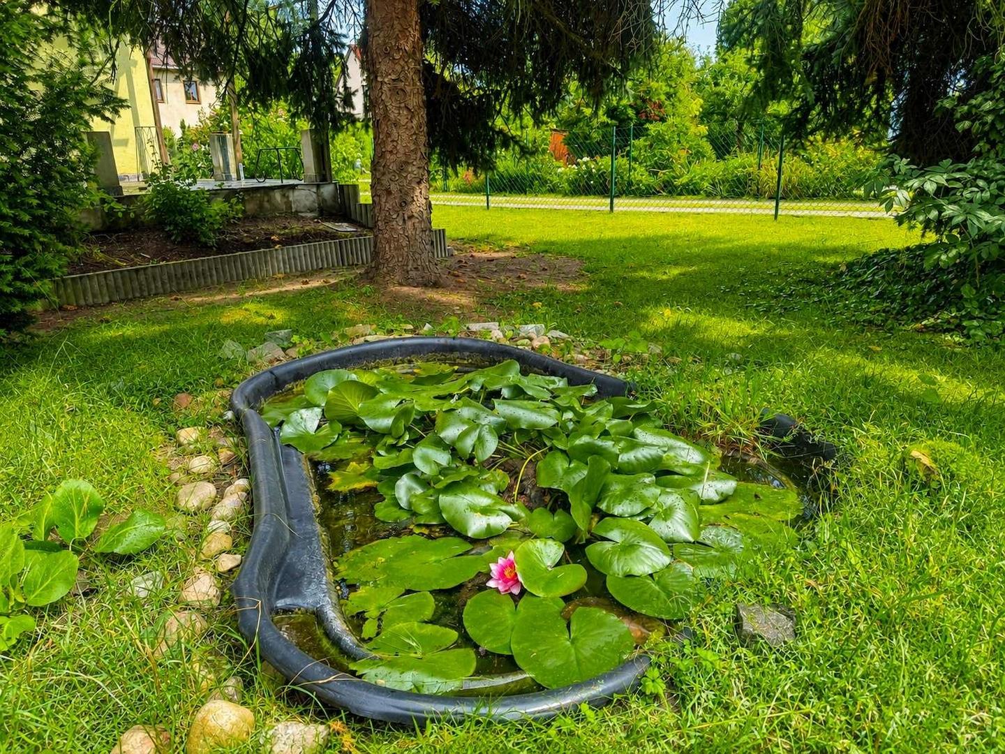 Zierteich