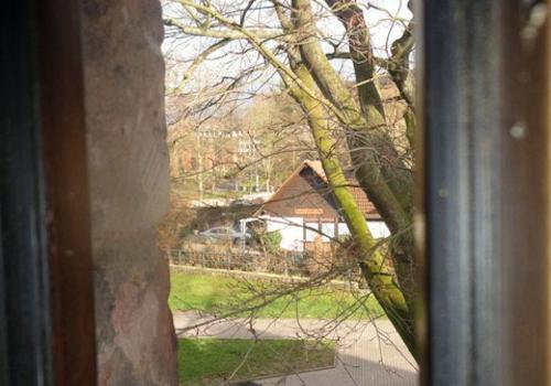 ...Fensterchen zum Park