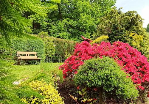 hübscher Garten