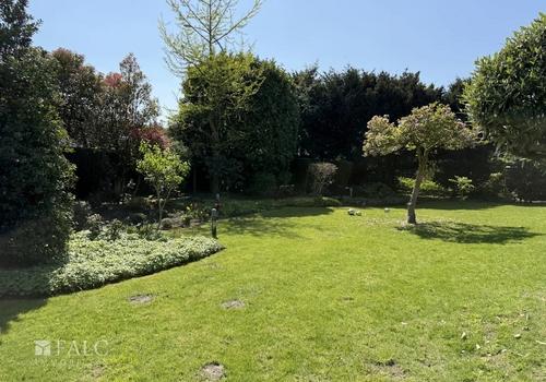 Garten Hinten 
