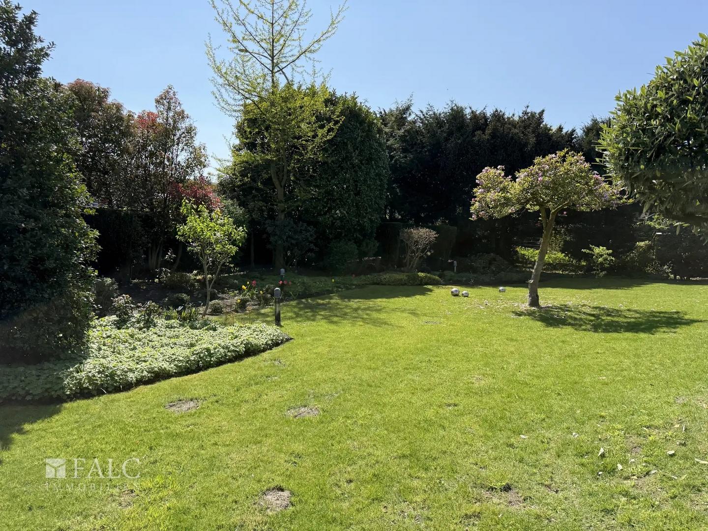 Garten Hinten 