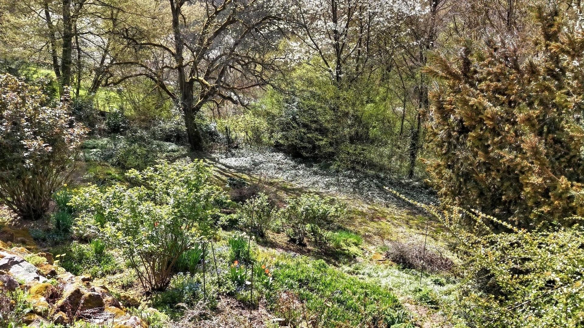 KI-generiert: Naturgarten unterhalb des Hauses