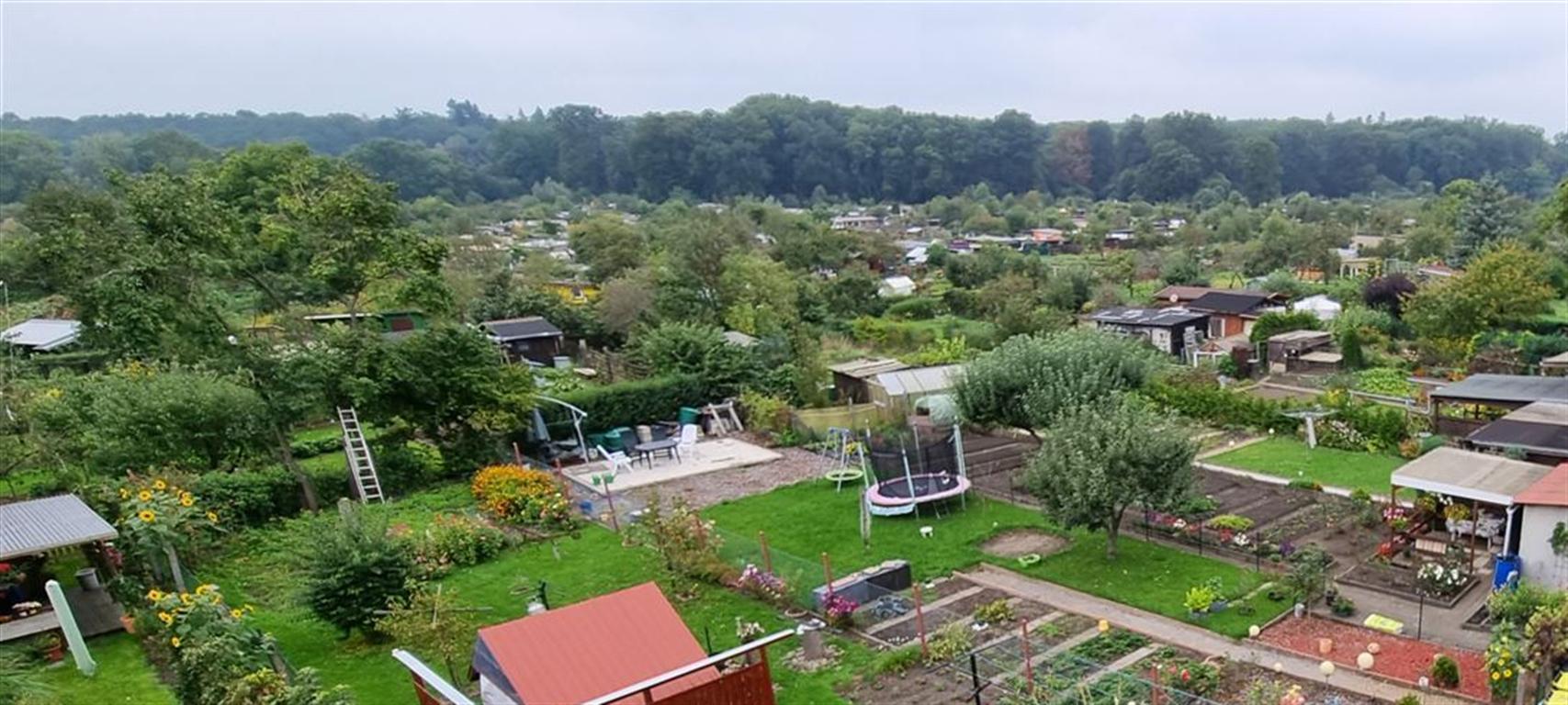 Blick aus der Küche