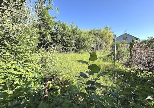 Blick in den Garten