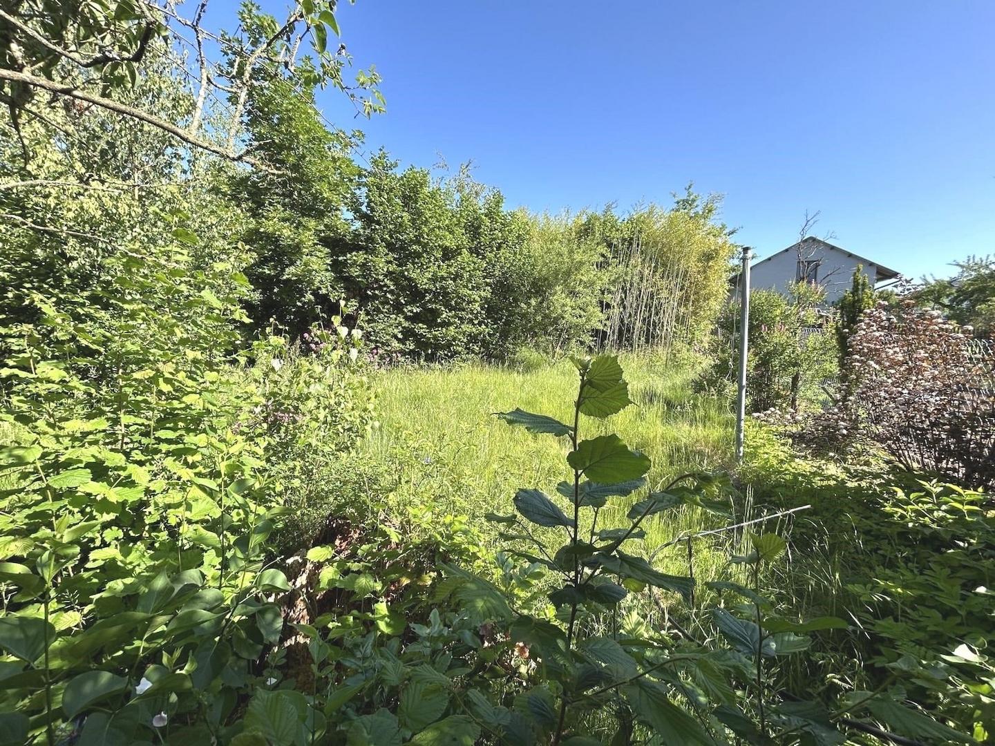 Blick in den Garten
