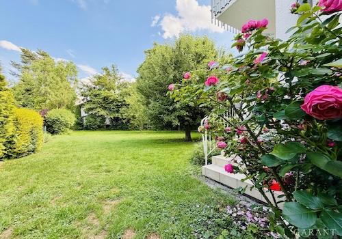 Blick in den Garten
