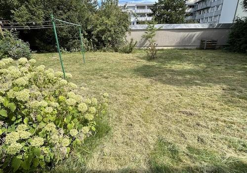 Sonniger Garten