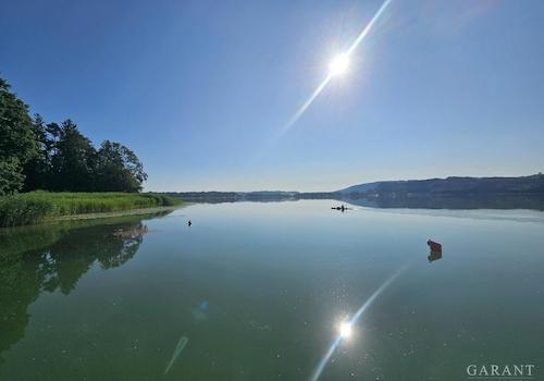 Simmsee