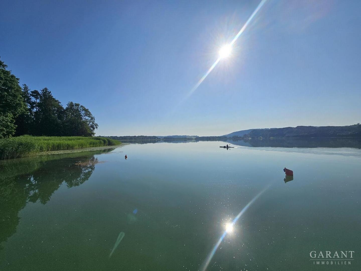 Simmsee
