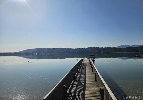 Simmsee