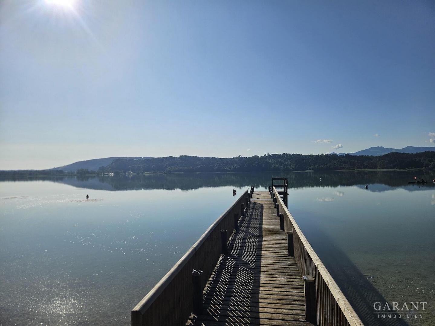 Simmsee