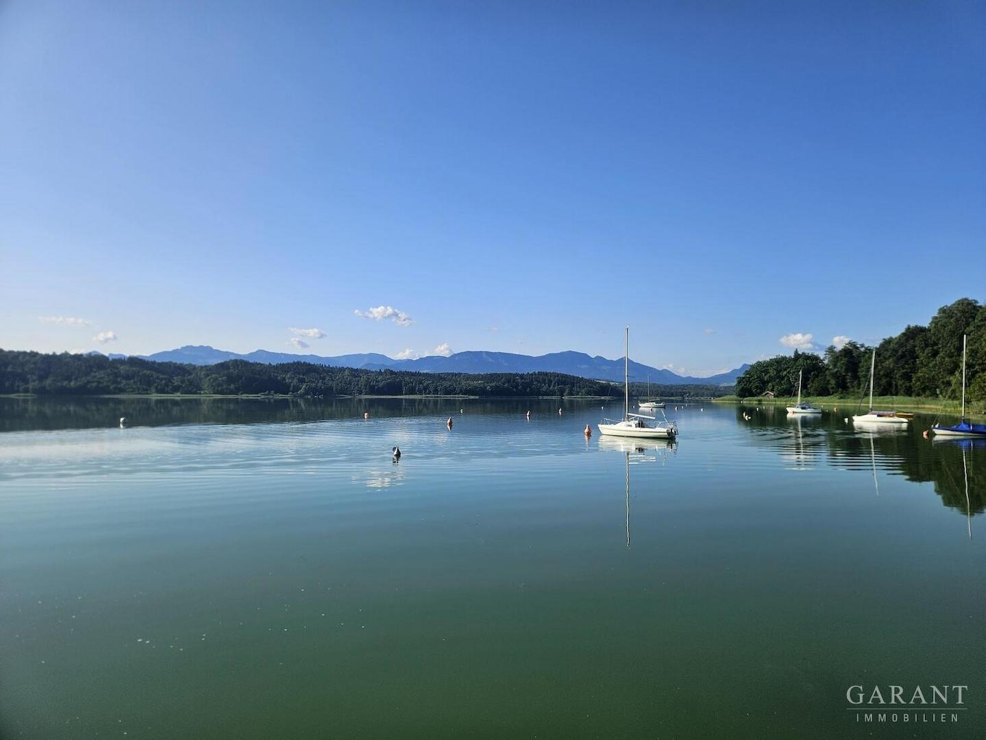 Simmsee