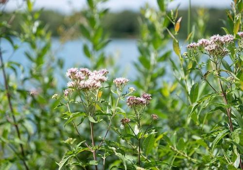 natur- und zugleich stadtnah