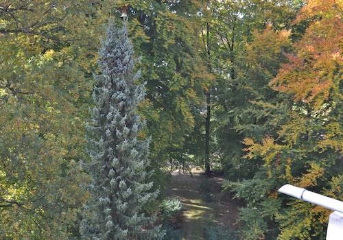 Blick von der Penthouseterrasse in den Park