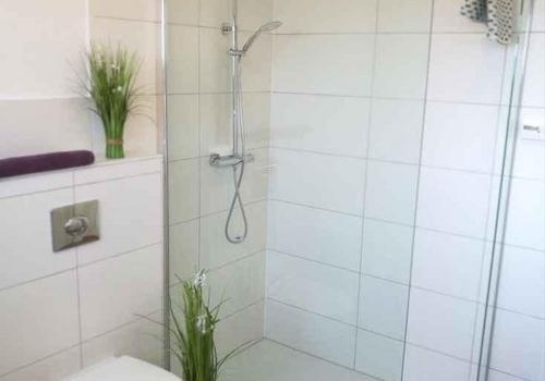Bad-OG Glasdusche Bodeneben