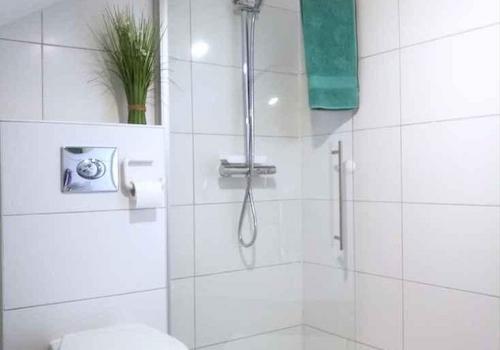 Gast Dusche im DG