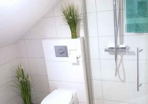 Gast-DG Glas-Dusche
