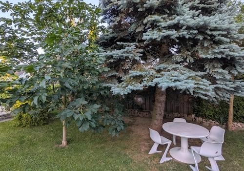 Ansicht Garten