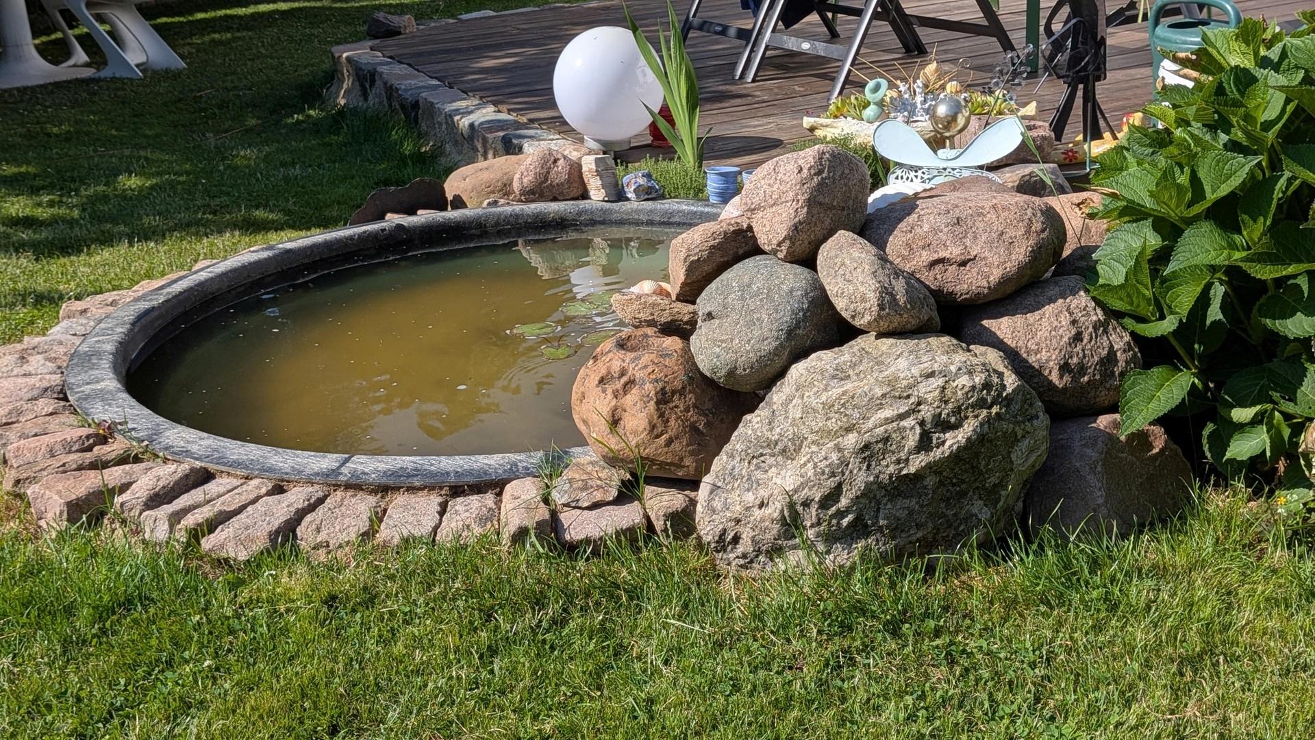Ansicht Garten Teich