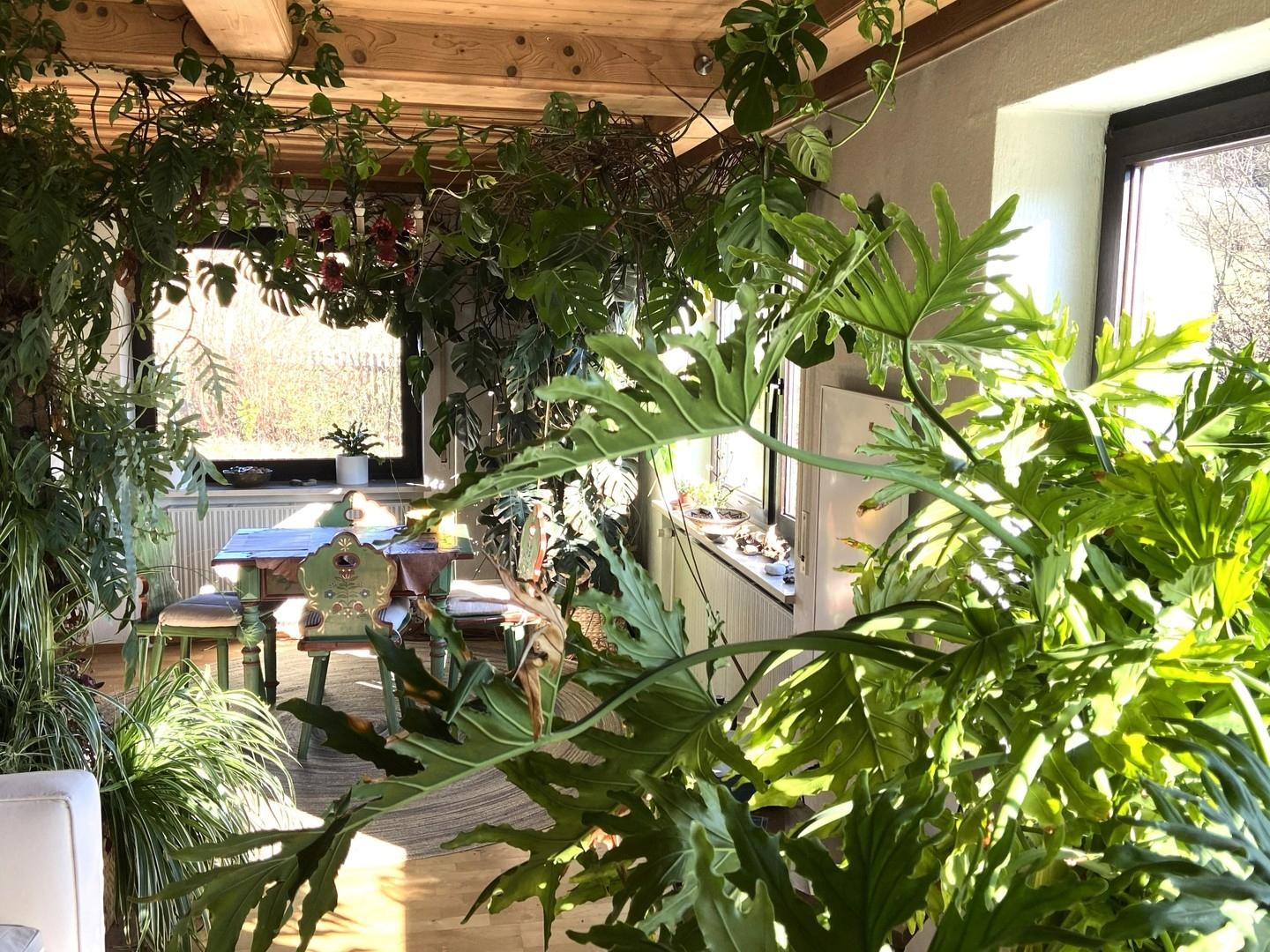 OG Wohnzimmer